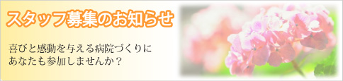 求人情報はこちら